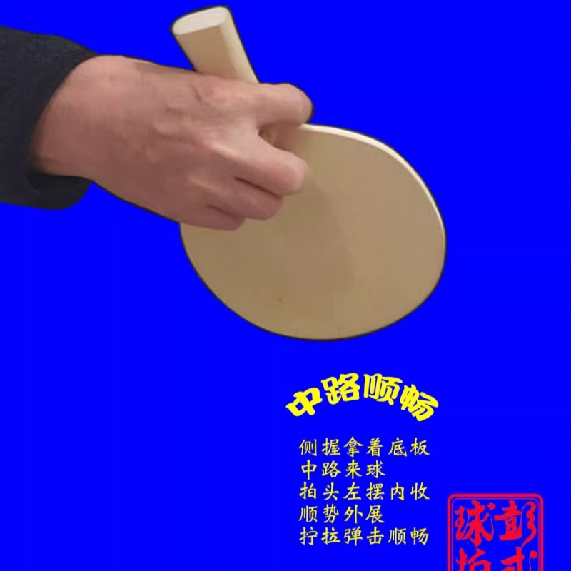 Chinese/Japanese Style Table T - Table Tennis In Japanese review and price