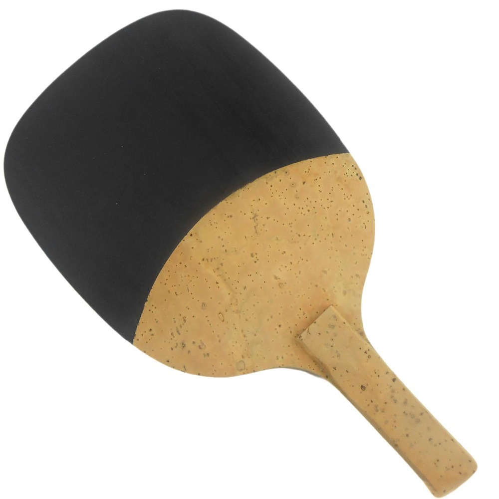 PALIO 8603 Carbon Titanium Tab - Table Tennis In Japanese review and price